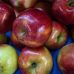 Apple Growers Are On a Quest to Find the Next Honeycrisp