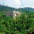 Příroda Malajsie: Skutečný ráj pro milovníky divoké džungle i podmořského života